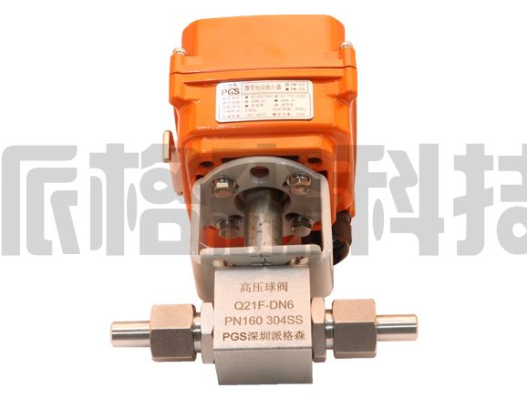 PM-05K-DN6 304不锈钢  高压球阀